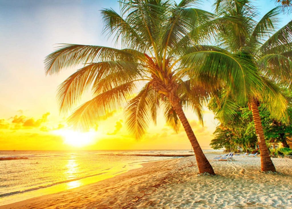 barbados-erleben