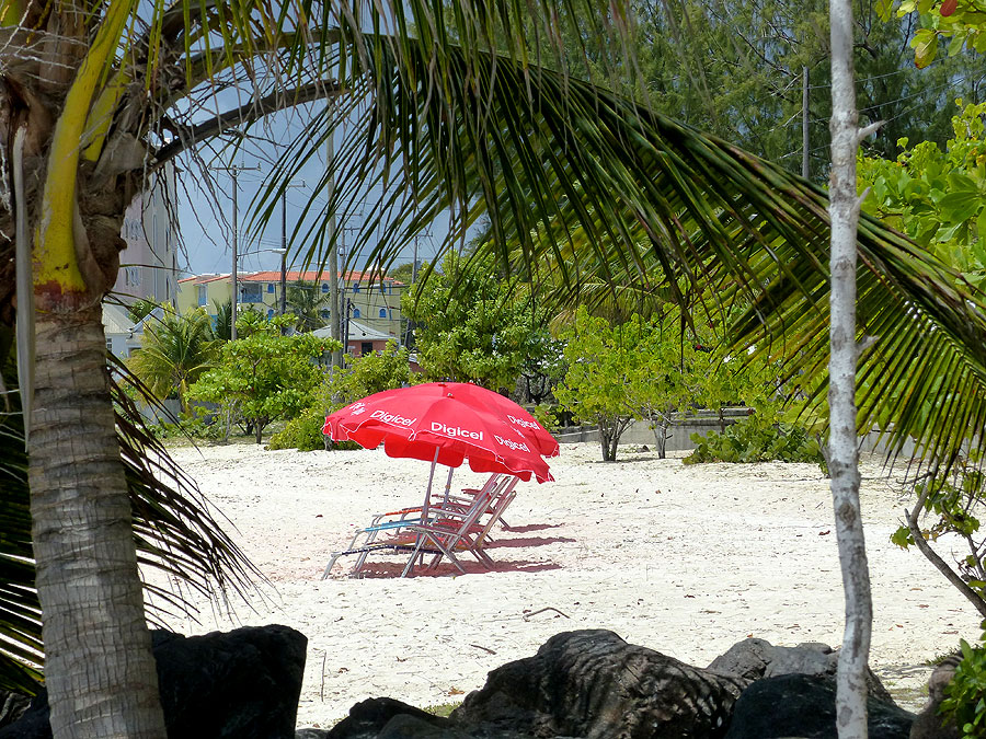 barbados-P1050494