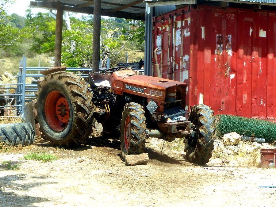 barbados-P1050598