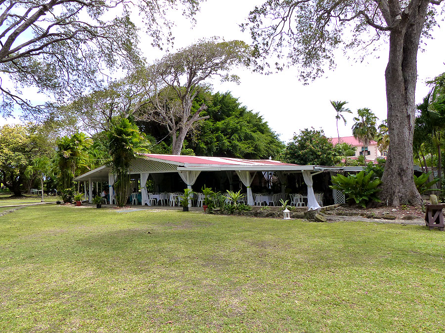 barbados-P1050732