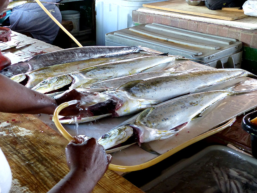 Fischmarkt Barbados
