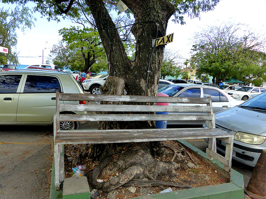 barbados-P1050934