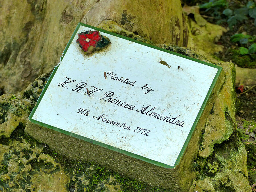 barbados-P1060669