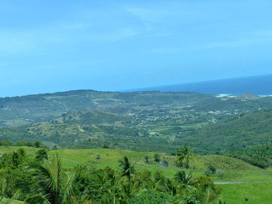 barbados-P1060710
