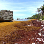 East Cost Road Barbados