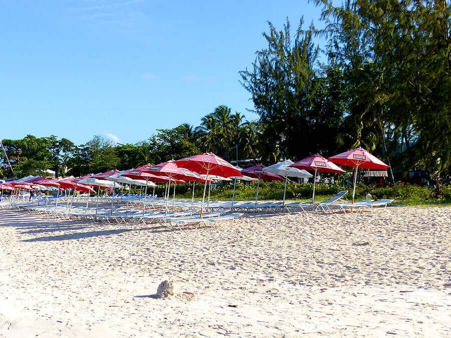 barbados-P1070315