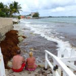 Erster Tag auf Barbados und der Srand ist nicht da.